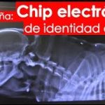 Asi-funciona-el-chip-para-perros